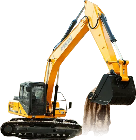 desratizacion predemolicion