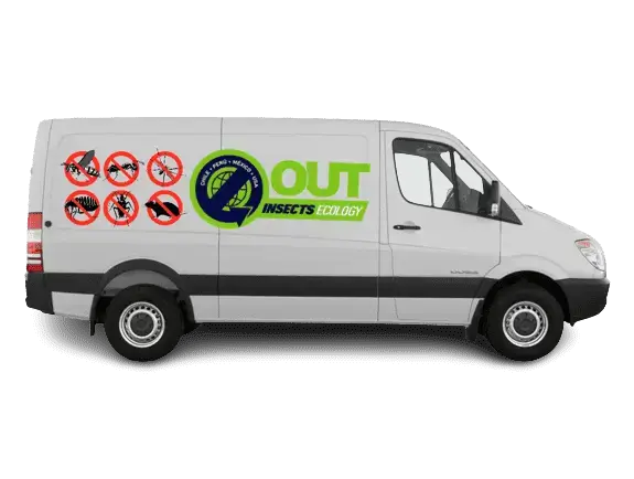 desratizacion a domicilio